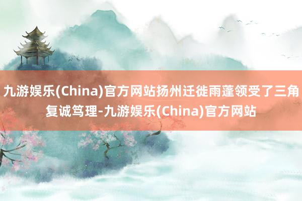 九游娱乐(China)官方网站扬州迁徙雨蓬领受了三角复诚笃理-九游娱乐(China)官方网站