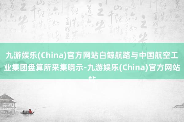 九游娱乐(China)官方网站白鲸航路与中国航空工业集团盘算